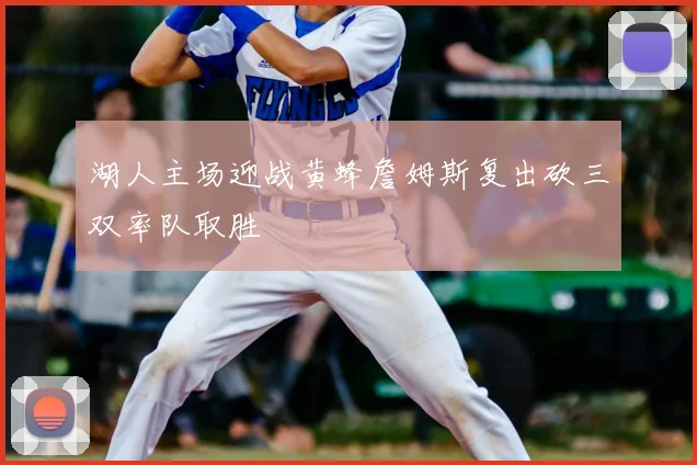 湖人主场迎战黄蜂詹姆斯复出砍三双率队取胜