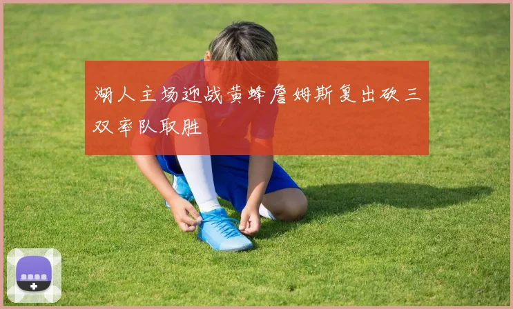 湖人主场迎战黄蜂詹姆斯复出砍三双率队取胜