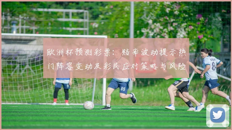 欧洲杯预测彩票：赔率波动提示热门阵容变动及彩民应对策略与风险提示
